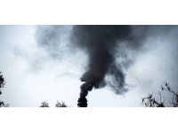 Bangkok'ta kirli hava alarmı: Evden çalışın, maske takın