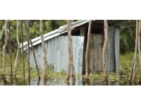 Madagaskar'daki Cheneso fırtınası 24 can aldı