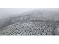 Sakarya'nın yüksek kesimlerine kar yağdı