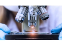 Parkinson tedavisi için yapılan kök hücre deneyi etkili sonuç verdi