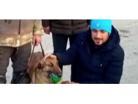 Arama-kurtarma köpeği Sıla enkazlardan 12 kişinin kurtarılmasını sağladı