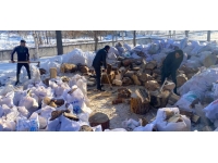 Ardahan'da orman köylüleri yakacak odunlarını depremzedelere gönderdi