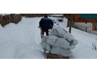 Artvin'de köylüler depremzedeler için kızaklarla odun taşıdı