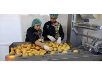 Yozgat'ta öğretmen ve öğrenciler, depremzedeler için ekmek ve yemek hazırlıyor
