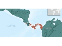 Panama'da göçmenleri taşıyan otobüs uçuruma yuvarlandı: 40 ölü