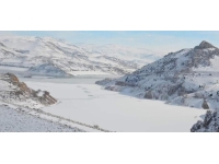 Erzincan'da Tercan Baraj gölü dondu