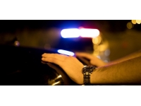 Edirne'de hırsızlık zanlısı tutuklandı