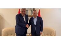 Dışişleri Bakanı Çavuşoğlu, Mısırlı mevkidaşı Şukri ile görüştü