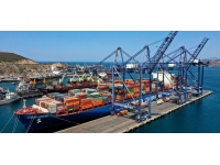 Sinop'tan ocak ayında 61 farklı ülkeye ihracat yapıldı