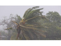 Freddy Kasırgası Mozambik’te en az 10 kişinin ölümüne neden oldu