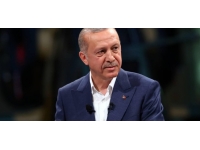 Cumhurbaşkanı Erdoğan'ın üniversite mezuniyet belgeleri paylaşıldı