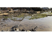 Hortumun yıkıma uğrattığı Mississippi'de olağanüstü hal ilan edildi