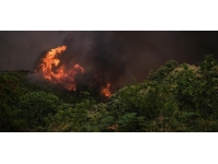 İspanya'daki orman yangını 5. gününde devam ediyor