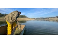 Osmaniye'de av yasağı öncesi balıkçılar Aslantaş Baraj Gölü'ne son ağları atıyor