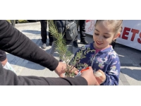 Elazığ'da 6 bin fidan dağıtımı yapıldı