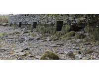 İngiltere iklim değişikliğinin yoğunlaşan etkilerine karşı 'çarpıcı şekilde' hazırlıksız