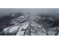 Trabzon'un yüksek kesimlerinde kar etkili oldu