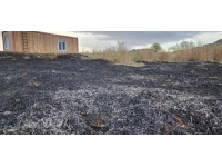 Iğdır'daki Aras Kuş Cenneti yangında zarar gördü