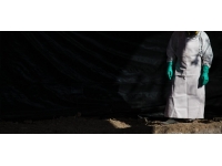 Kanada'nın Quebec eyaletinde bataklık çevresinde 6 ceset bulundu