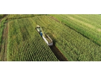 Yağışlar Güneydoğu'da rekolte umudunu artırdı