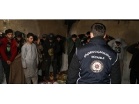 Van'da 20 düzensiz göçmen yakalandı