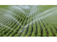 TC Tarım ve Orman Bakanlığı, KKTC’de 97,2 bin dekar arazi için sulama projesi başlatıyor