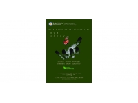 Kıbrıs Türk Devlet Tiyatroları’nın yeni oyunu “Kuş Albay” 11 Nisan’da DAÜ’de sahnelenecek