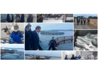 Tarım Bakanı Oğuz :Balık üretim ve tüketiminde istenilen noktada değiliz