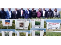 17 Tahıl Çeşidi Adaptasyon Deneme Parselleri Projesi tanıtıldı