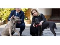 Tatar: 8 köpeğin zehirlenerek öldürülmesi olayının failleri ivedilikle belirlenmeli