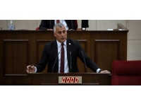 Amcaoğlu:Türk Lirası kullanmanın avantajları var