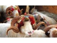 Kurban Bayramı yarın başlıyor… Bugünün idari tatil verilmesiyle 6 güne çıkan bayram tatili başladı