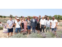 Cumhurbaşkanı Ersin Tatar, 3. Lavanta Hasat Şenliği’nde konuştu: “Görevimiz, gelecek kuşaklara, üretip ülkeyi geliştirerek temiz bir çevre bırakmaktır”