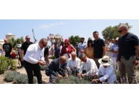 Tatlısu’da 3. Lavanta Günleri etkinliği yapıldı…