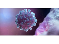 Eris varyantı Türkiye’de görüldü