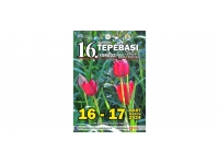 16. Tepebaşı (Yorgoz) Lale Festivali hafta sonu yapılıyor