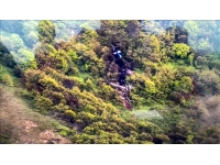 İran Cumhurbaşkanı Reisi, helikopter kazasında hayatını kaybetti