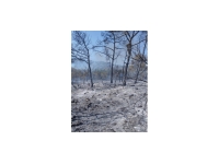 Yangın tamamen söndürüldü