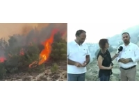 Yangında 900 dönümlük arazi zarar gördü