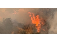 Altınova-Ağıllar köyleri arasında tepelik arazideki yangında hasar tespiti yapıldı