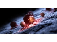 Çin’de kanser görüntülerini okuyabilen çok yönlü bir yapay zeka modeli geliştirildi