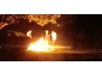 Boğaz Piknik alanında fırtınaya rağmen ateş yakan dört kişi hakkında yasal işlem