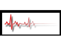 13 Kasım’da geçirdiği trafik kazasında ağır yaralanan genç hayatını kaybetti