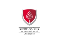 B.S’nin tahkikat duruşması 21 Ocak’a ertelendi
