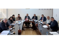 Sayıştay Komitesi, mali gelirlerle ilgili 2 raporu onaylayarak Genel Kurul’a sevk etti