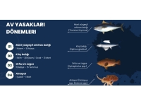 Su ürünleri dönemsel av yasakları konusunda bilgilendirme yapıldı