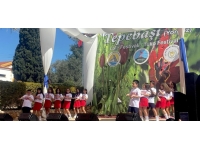 17. Tepebaşı Lale Festivali bugün de devam ediyor