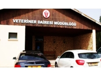 Veteriner Dairesi’nden hayvan kesimi ile ilgili uyarı