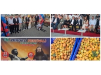 16. Zerdali Festivali  başladı