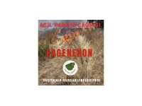 Ergenekon köyünde yangın…